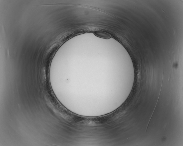 X0000116130254200912211721
