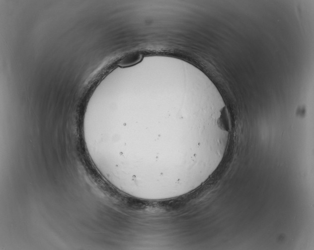 X0000116130256200912211721