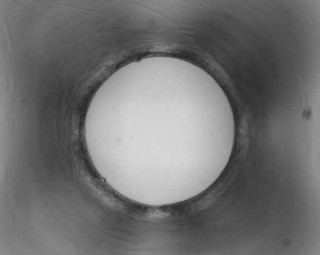 X0000116130257200912211721