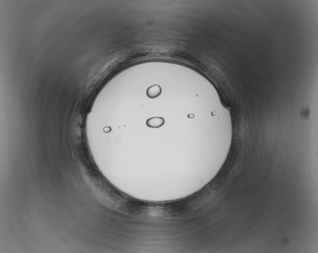 X0000116130264200912211721