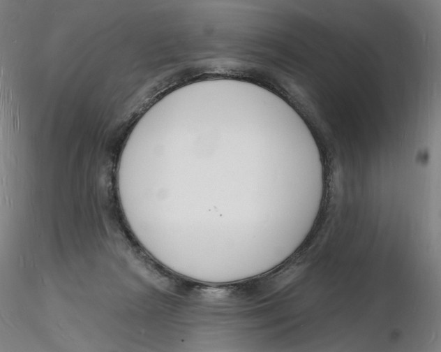 X0000116130265200912211721