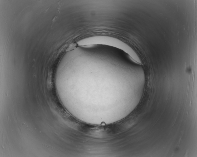 X0000116130267200912211721