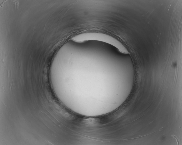 X0000116130269200912211721