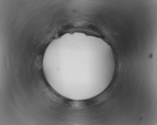 X0000116130273200912211721