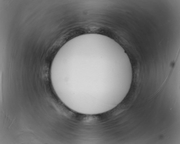 X0000116130274200912211721