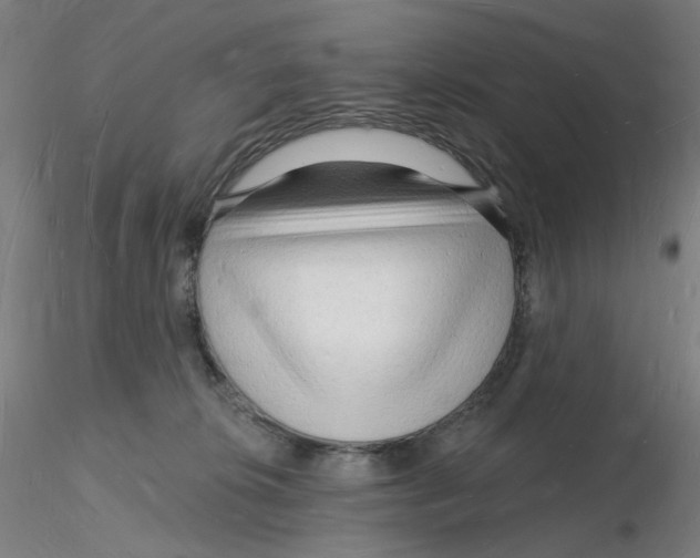 X0000116130276200912211721