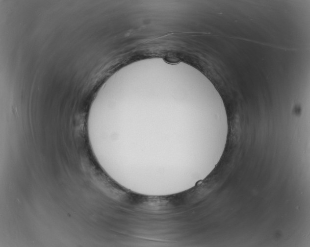 X0000116130278200912211721