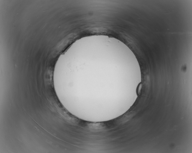 X0000116130281200912211721