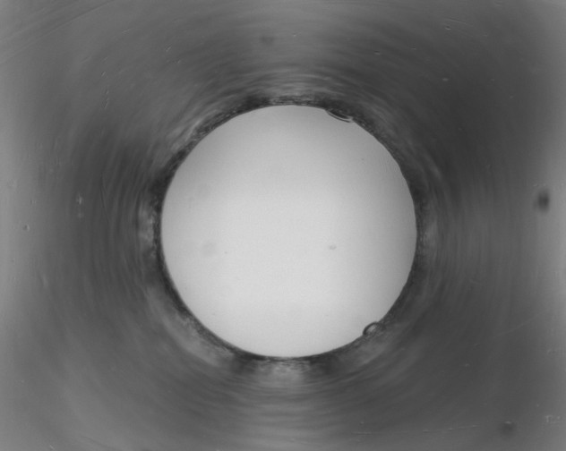 X0000116130282200912211721