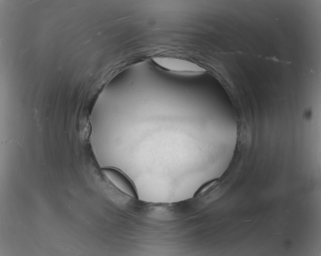 X0000116130285200912211721