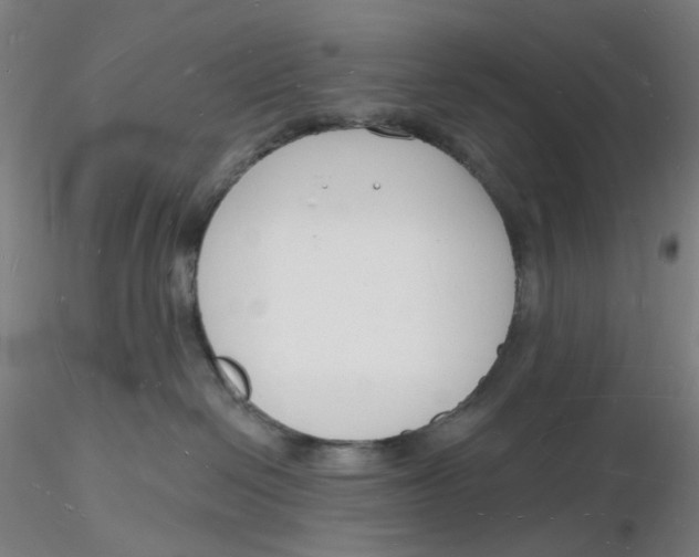 X0000116130286200912211721