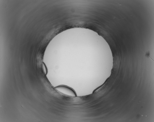 X0000116130287200912211721