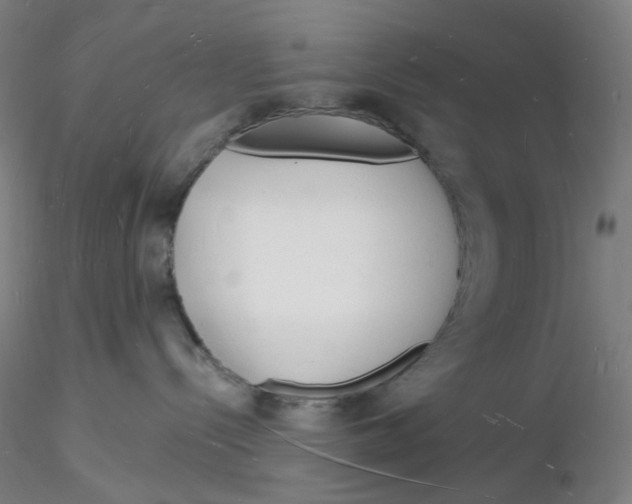 X0000116130288200912211721