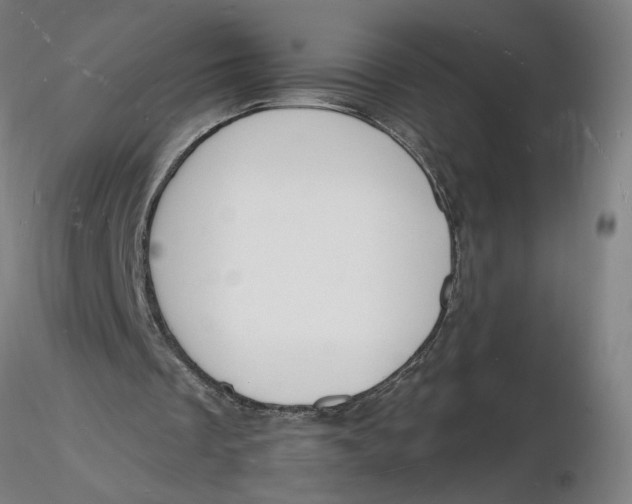 X0000116130289200912211721