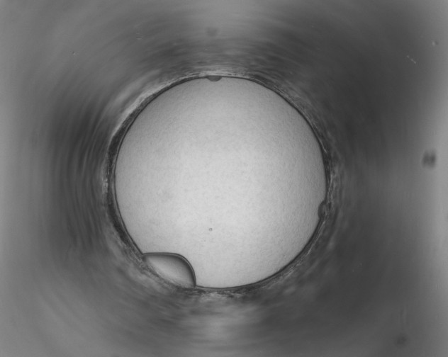 X0000116130290200912211721