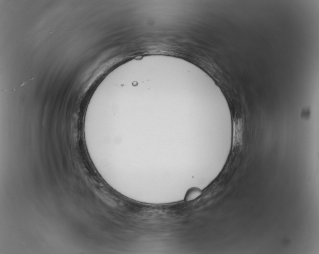 X0000116130291200912211721