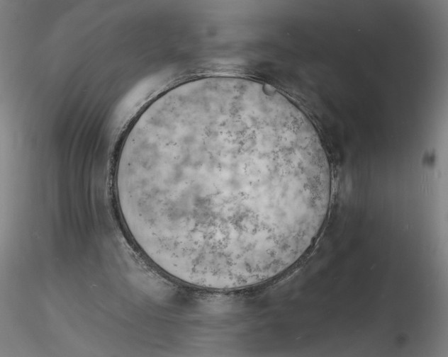 X0000116130293200912211721