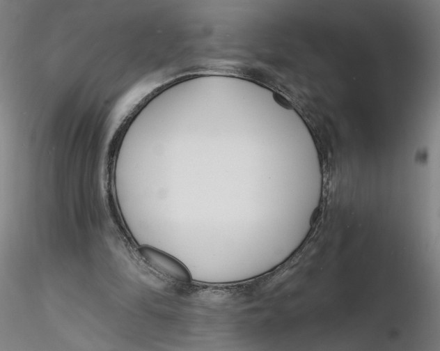 X0000116130294200912211721