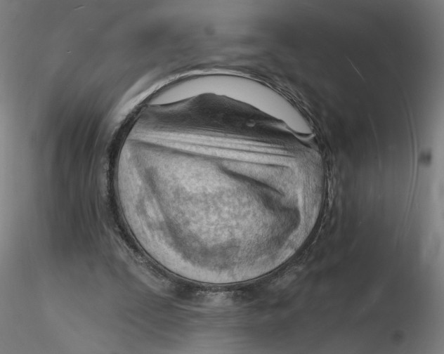 X0000116130295200912211721