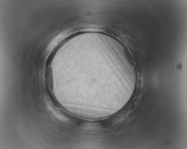 X0000116130296200912211721
