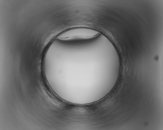 X0000116130299200912211721