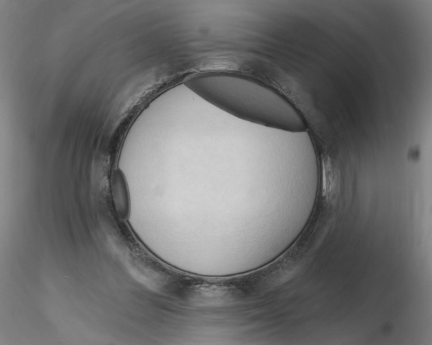 X0000116130300200912211721