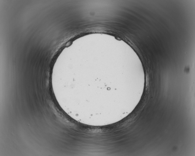 X0000116130301200912211721