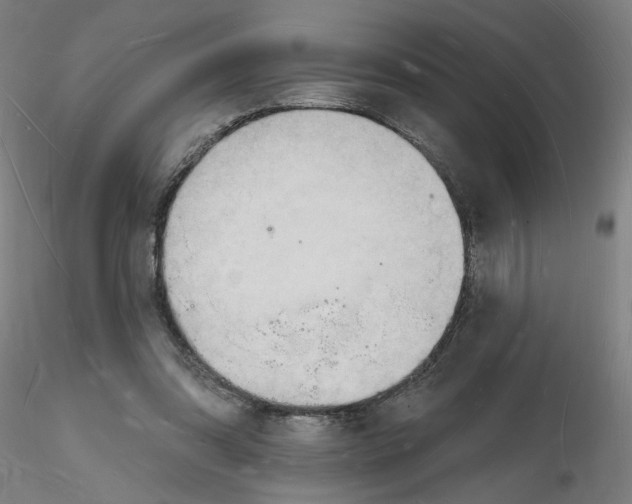 X0000116130302200912211721