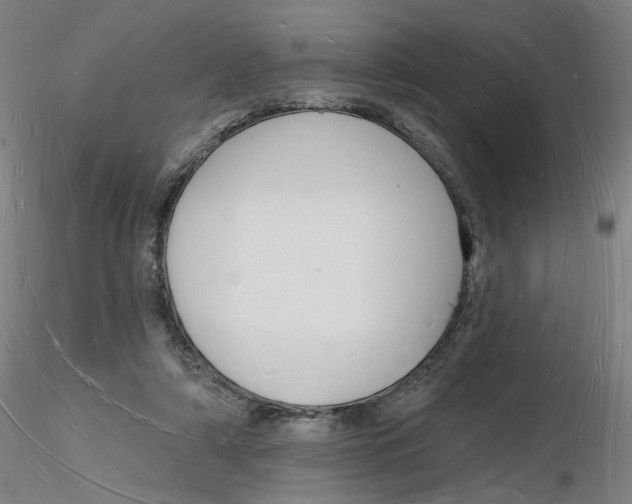 X0000116130306200912211721
