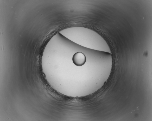 X0000116130308200912211721