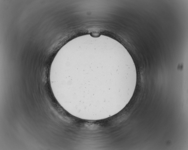 X0000116130311200912211721