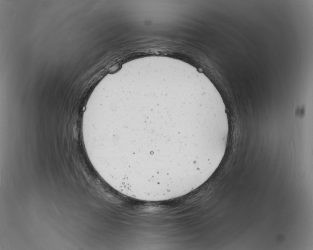 X0000116130313200912211720