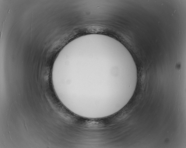 X0000116130315200912211720