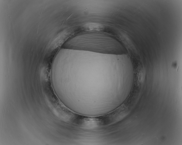 X0000116130316200912211720