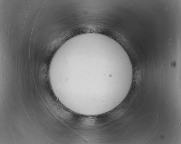 X0000116130318200912211720