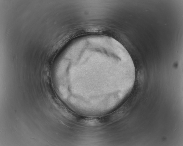 X0000116130322200912211720