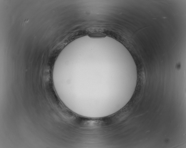 X0000116130323200912211720