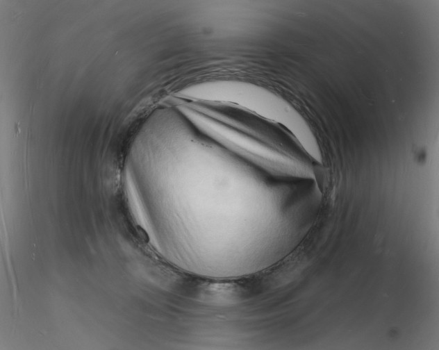 X0000116130324200912211720