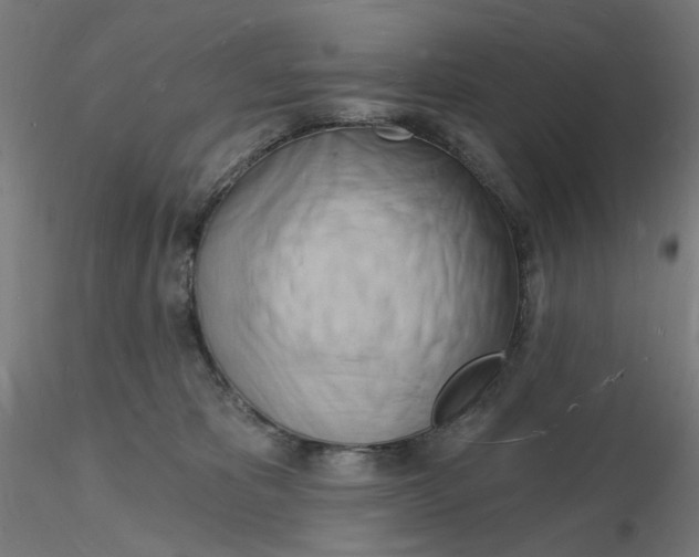 X0000116130325200912211720