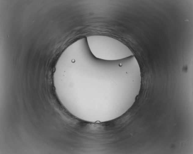 X0000116130327200912211720
