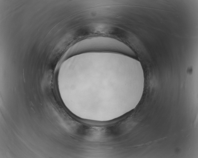 X0000116130328200912211720