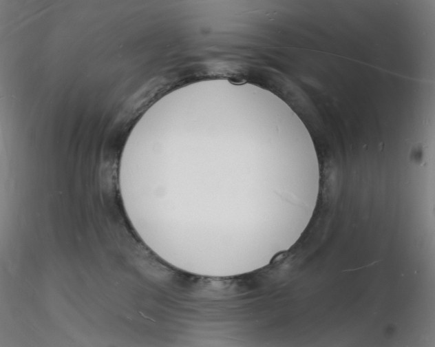 X0000116130329200912211720