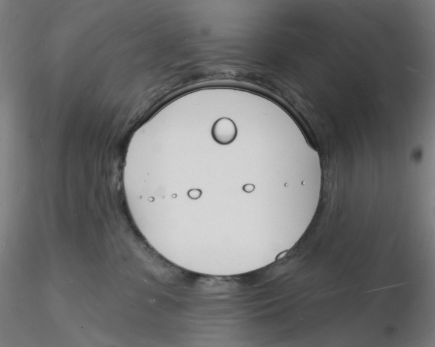 X0000116130331200912211720