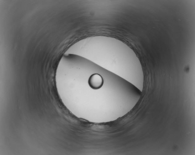X0000116130332200912211720