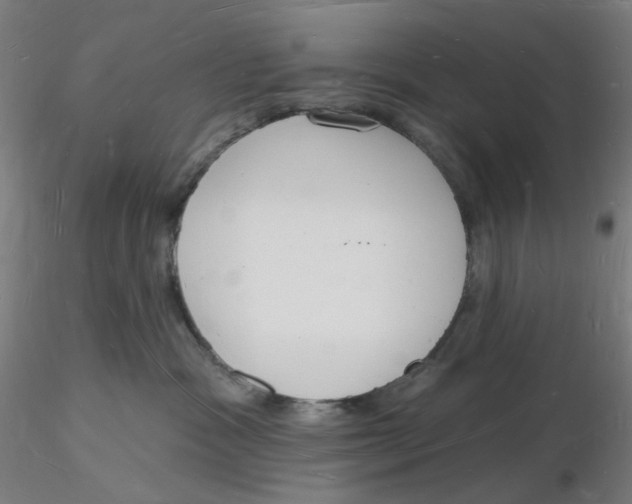 X0000116130333200912211720