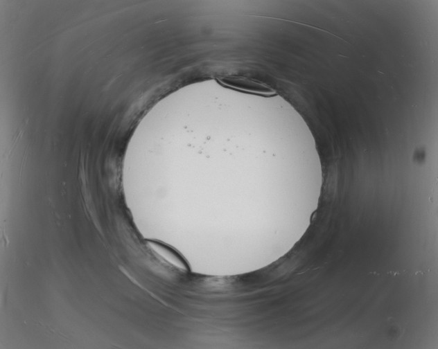 X0000116130335200912211720