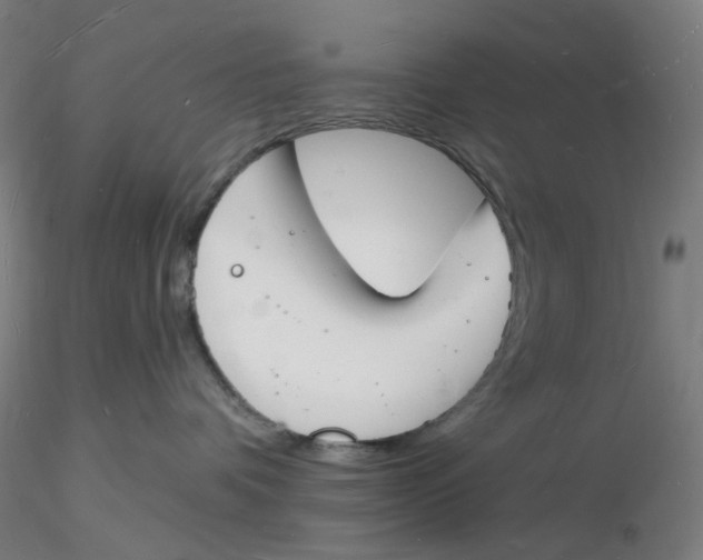 X0000116130336200912211720