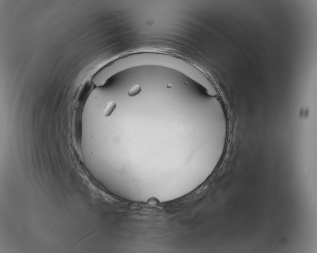 X0000116130337200912211720