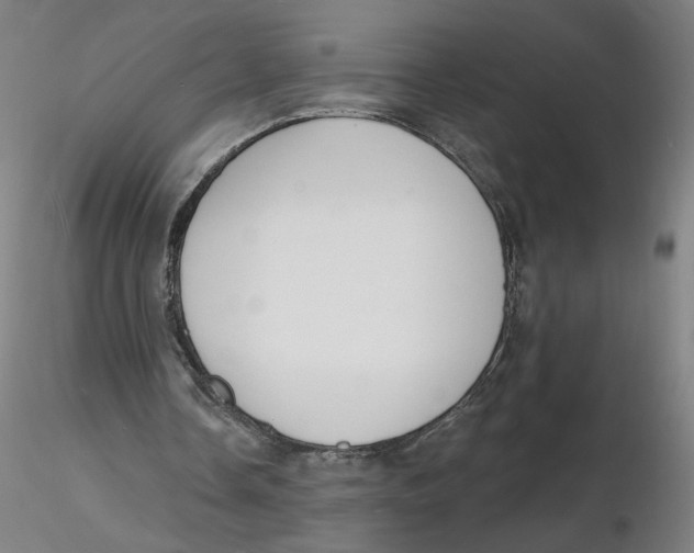 X0000116130338200912211720
