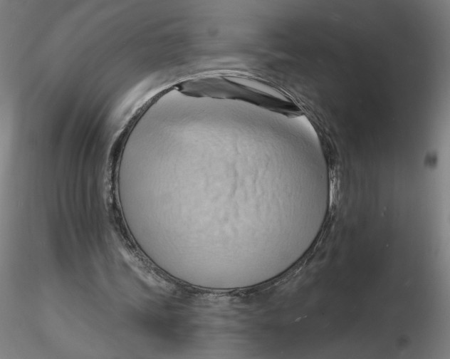 X0000116130339200912211720